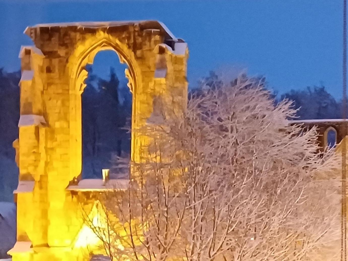 Ferienwohnungen Klosterblick Walkenried Екстериор снимка