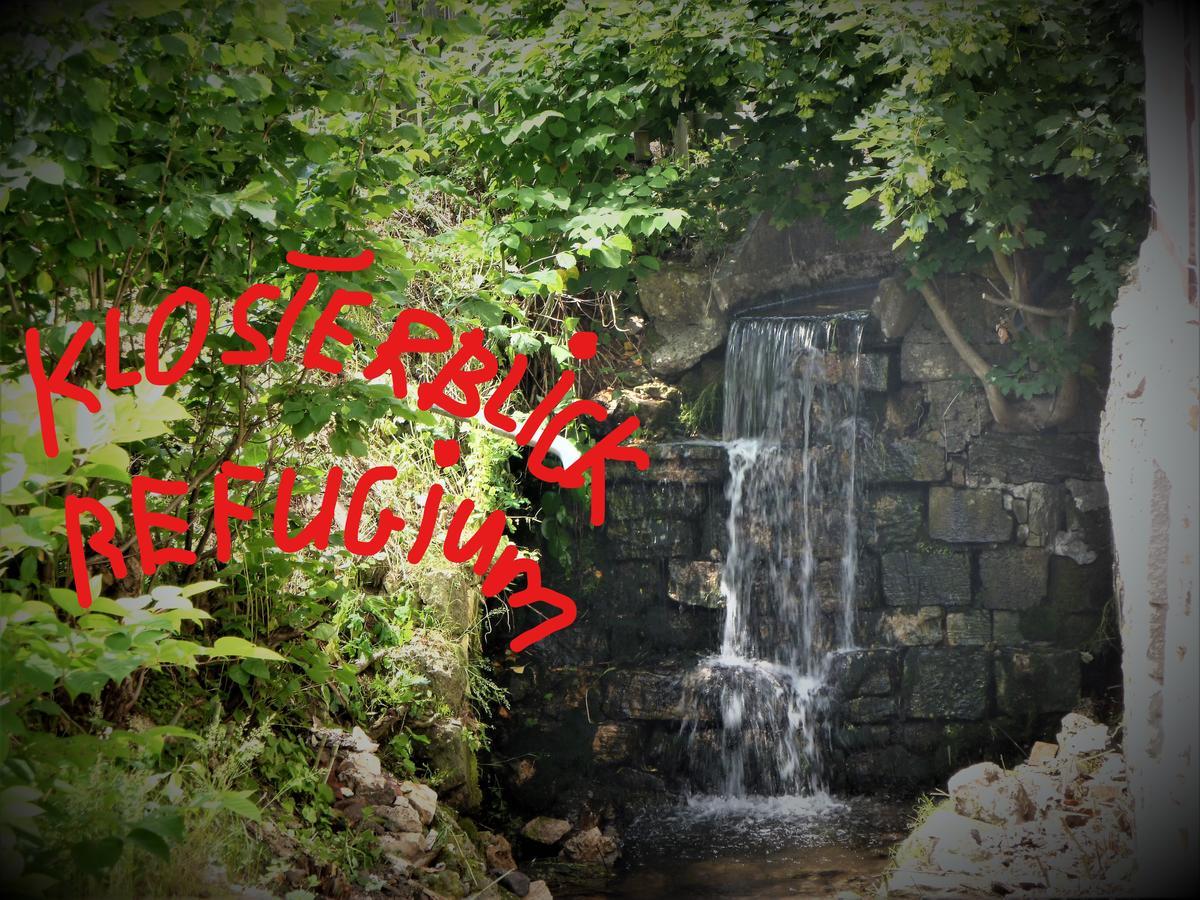 Ferienwohnungen Klosterblick Walkenried Екстериор снимка