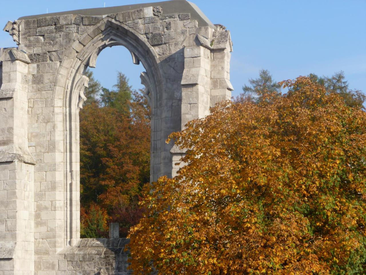 Ferienwohnungen Klosterblick Walkenried Екстериор снимка