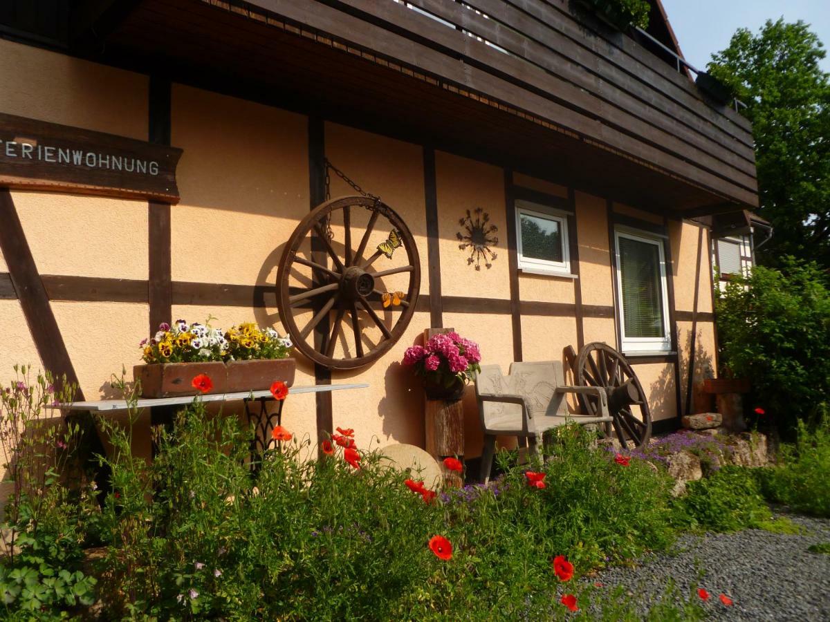 Ferienwohnungen Klosterblick Walkenried Екстериор снимка
